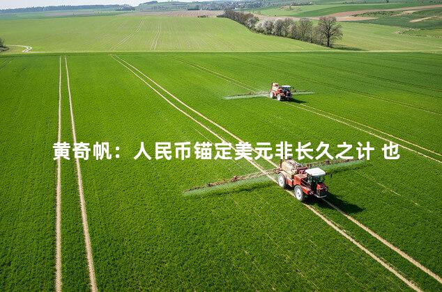 黄奇帆：人民币锚定美元非长久之计 也是扩大开放的重点领域